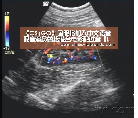 《CS:GO》国服将加入中文语音 配音演员曾给港台电影配过音【LOL世界赛官网】(图2) 英雄联盟世界赛